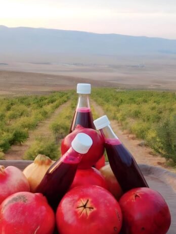 Pomegranate Molasses